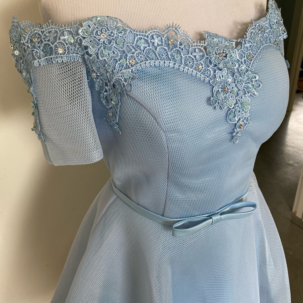 Stunning Cinderella Dress